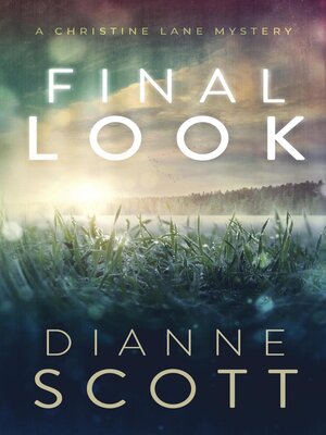 Final Look - ebook